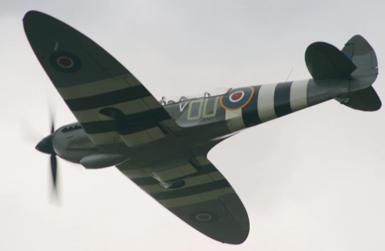 the bottom of a single engine plane flying