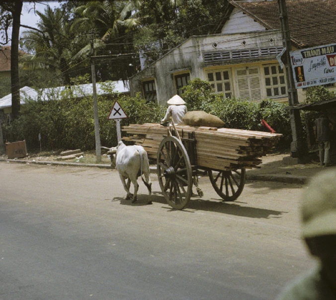 a man on a carriage pulled by a dog