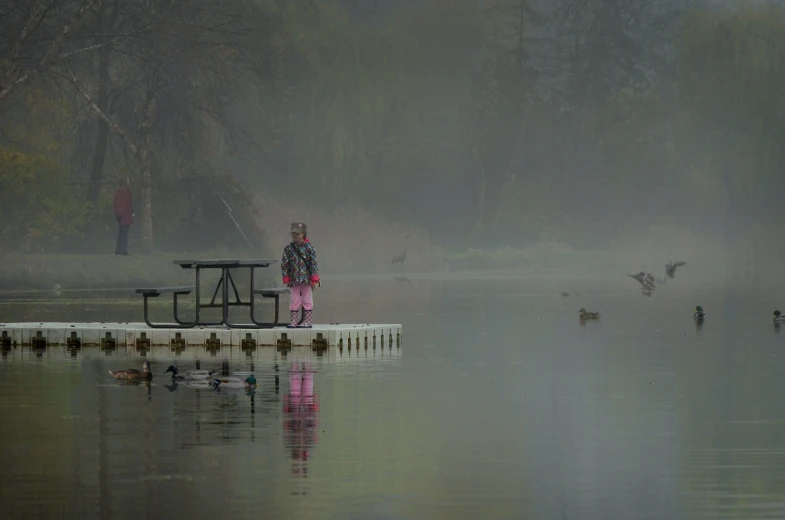 a person standing in the mist by a bench on a lake