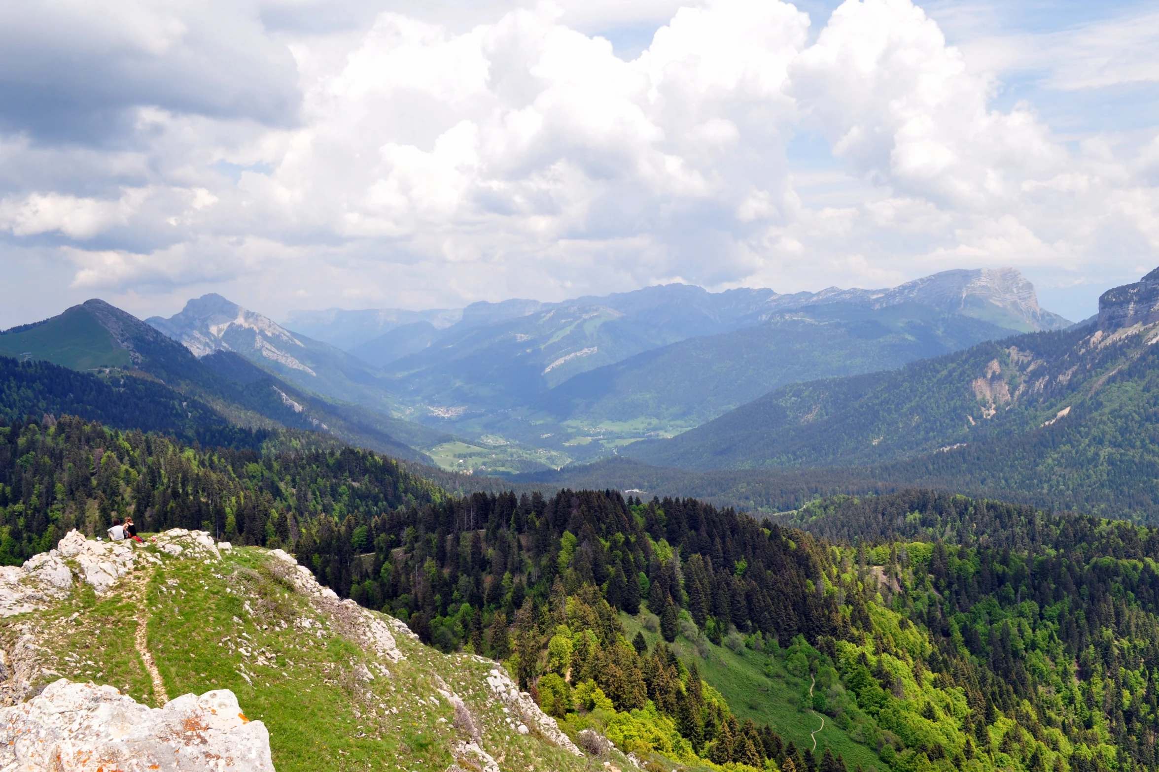 a green hill with a bunch of trees on it