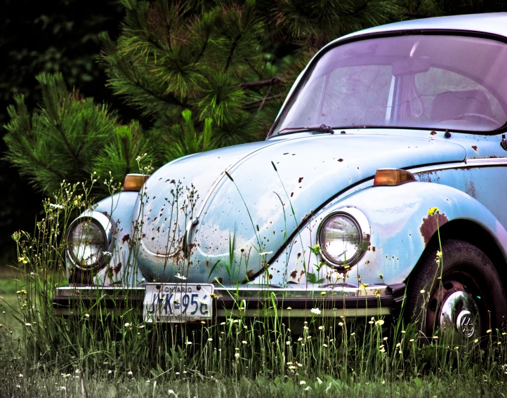 an old volkswagen beetle in a field of green grass