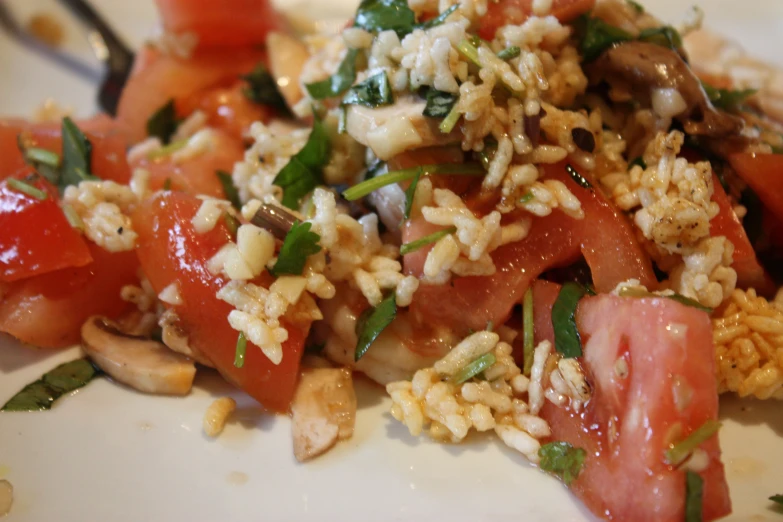 plate of food with rice, tomatoes and mushrooms