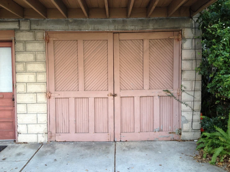 a close up of two garage doors with a plant near them