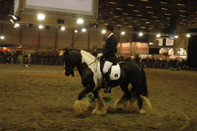 a person riding on the back of a black and white horse