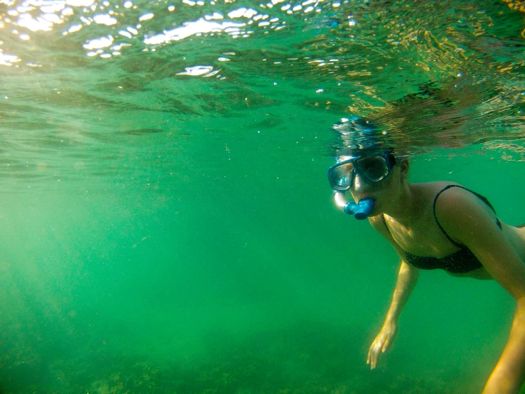 a woman snorkling under the surface of water