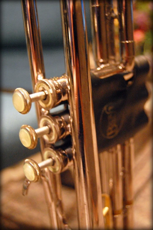 a ss instrument is being held by an adjustable rod