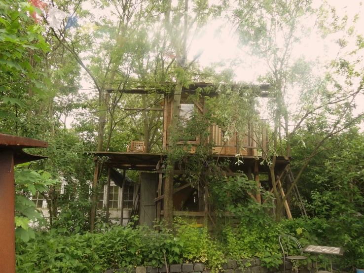 old house overgrown with vines and weeds