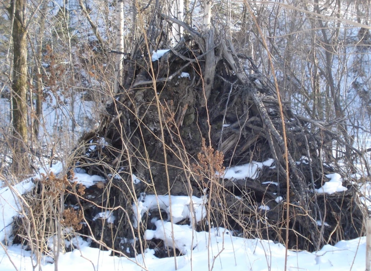 a rock outcropping in the middle of a snowy woods