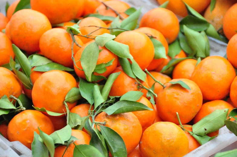 a bunch of oranges with green leaves in a bin