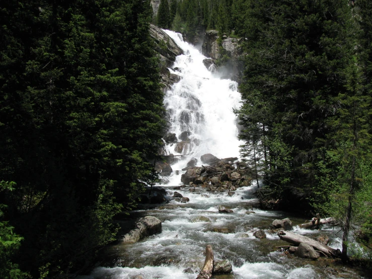 a river flows through a small waterfall near trees