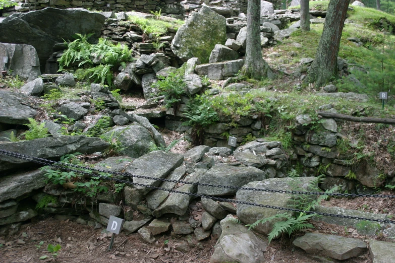 a stone path that is covered in rocks