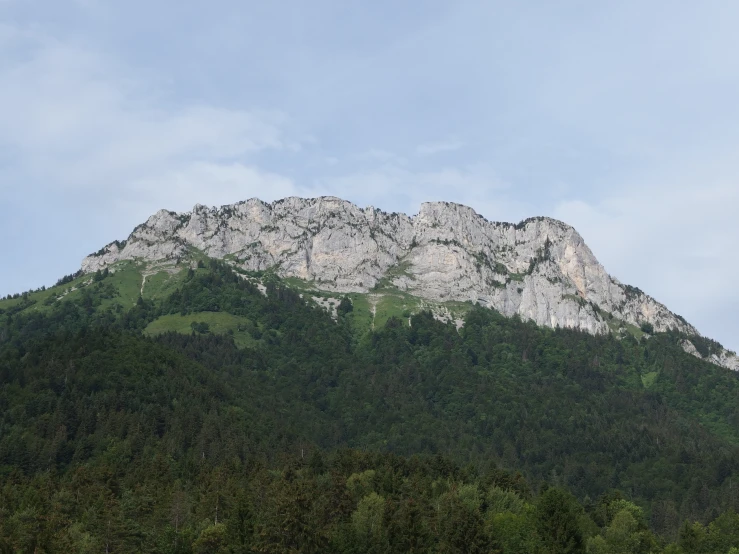 a mountain and some trees with sky in the background