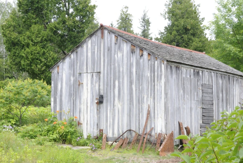 the old weathered out building is standing beside some weeds and trees