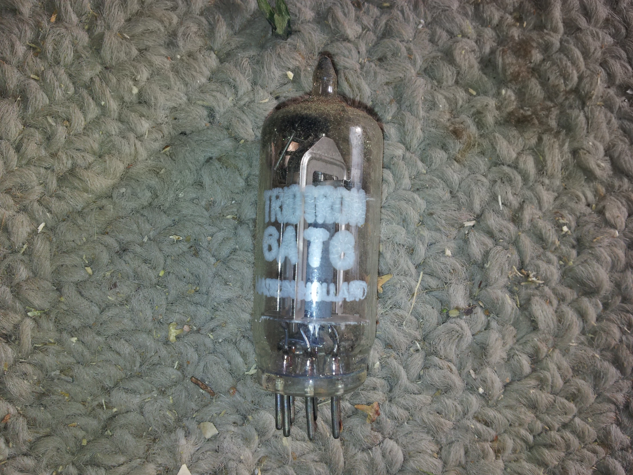 a dead object on the ground, one end of an empty plastic bottle
