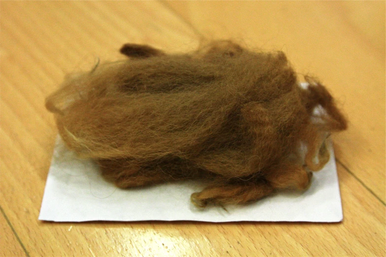 a close up of a hair piece on a table