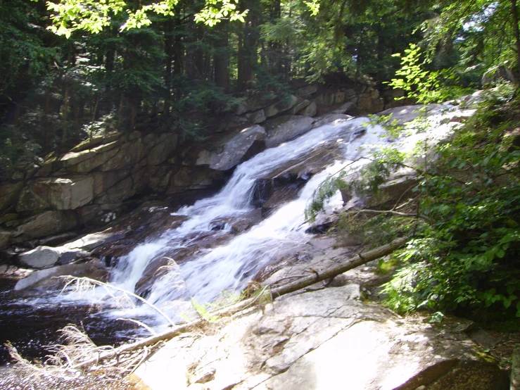 the waterfall is in a wooded area of rocks