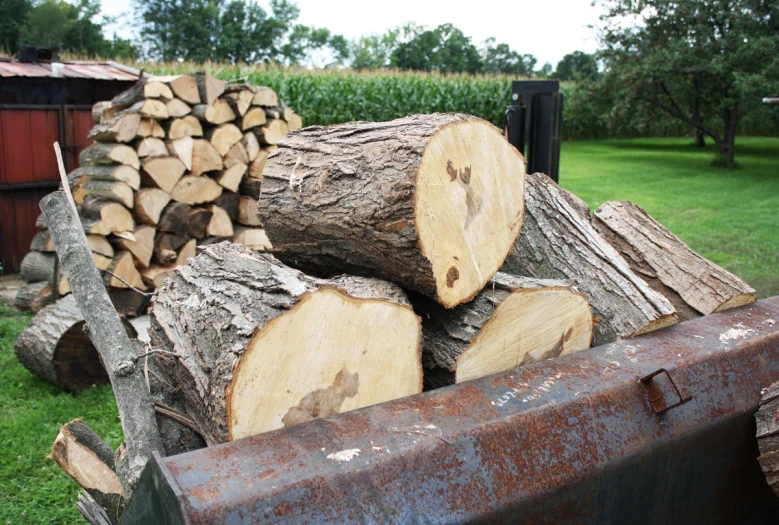 cut logs are in the back of a truck