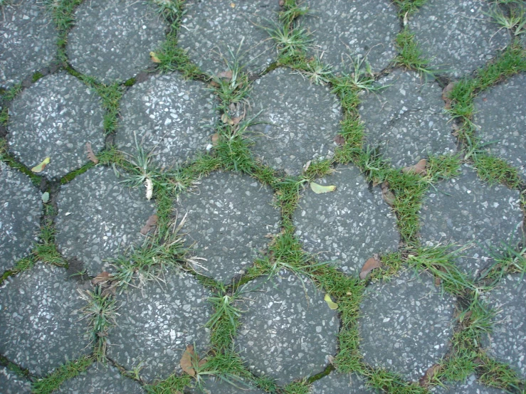 a close up of stones on the ground