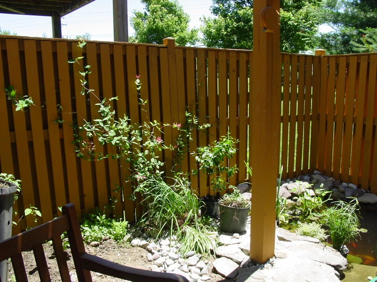 this is an outside view of a garden with a yellow fence