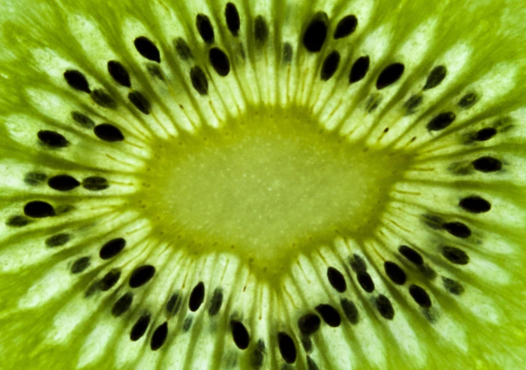 the inside of a sliced kiwi fruit with black spots