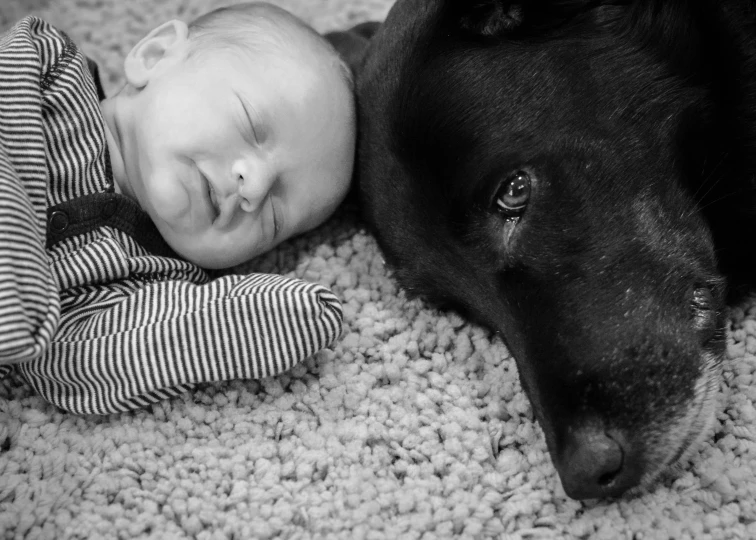 a dog lying on top of a baby and laying next to it