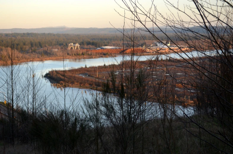 a lake with houses on it next to a forest