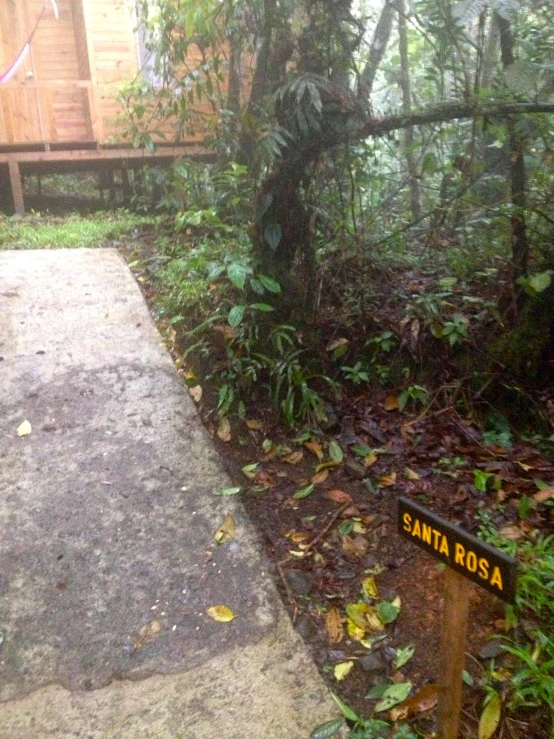 a trail in the woods is marked with an arrow