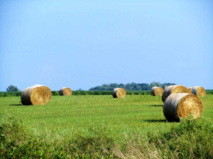 a bunch of round bales that are in the grass