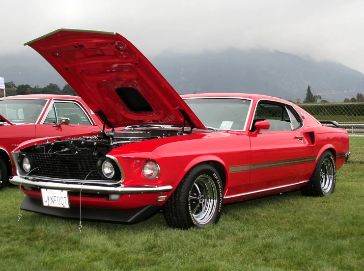 a red car is on the grass while the hood opened