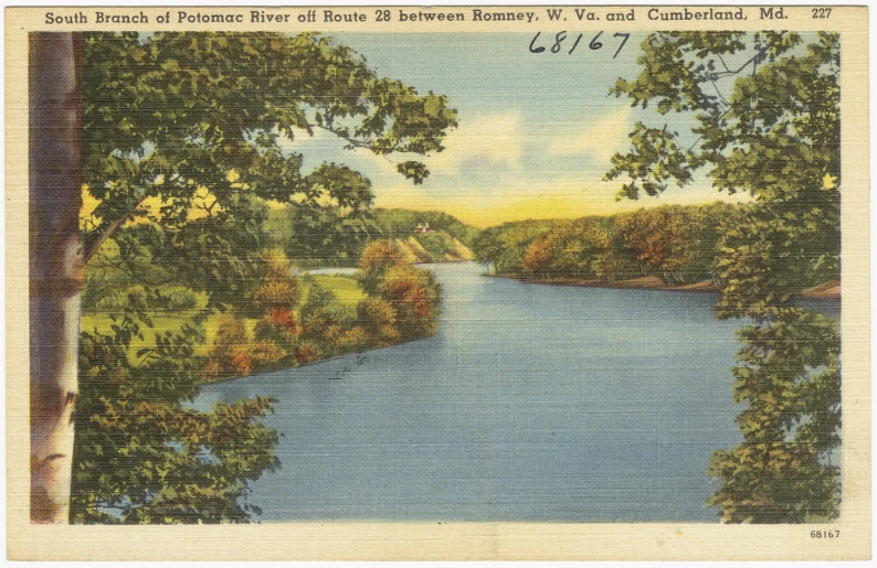 an image of a river view with trees in the foreground