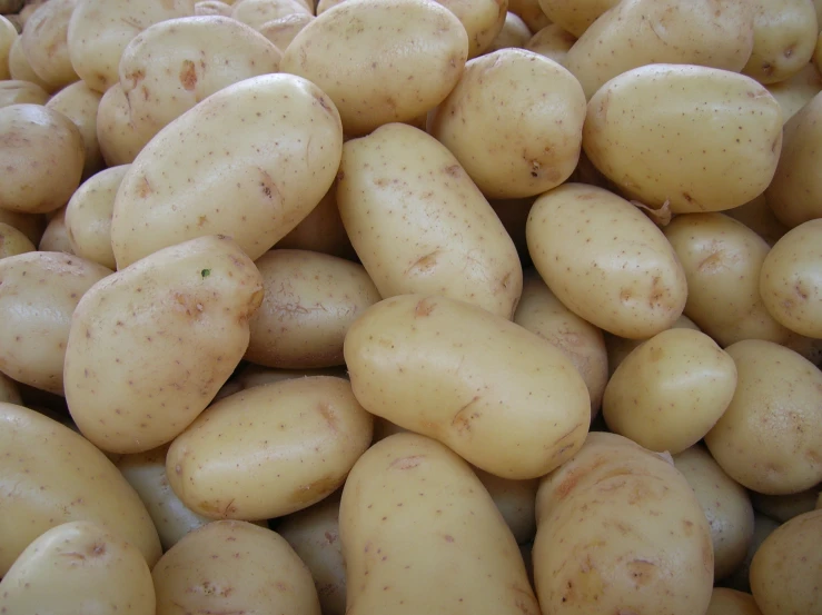 a pile of white potatoes with brown spots