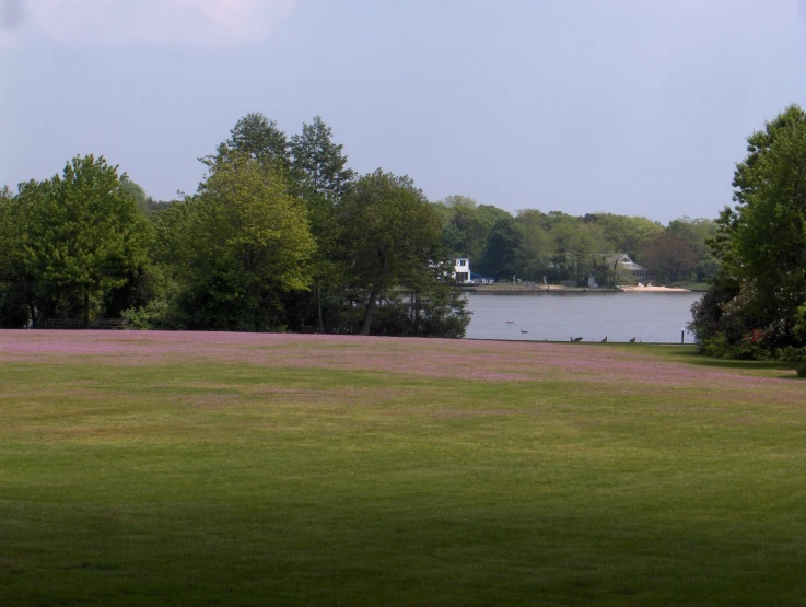 a large green field with trees and a lake