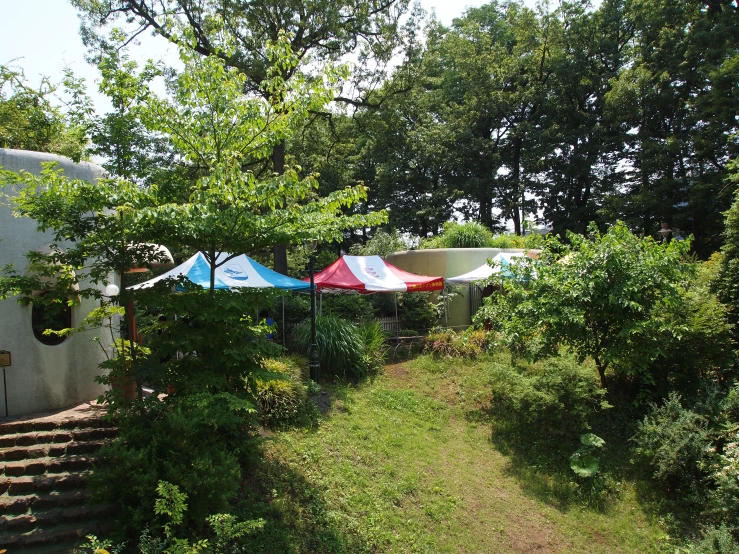 a group of sail sail banners in a field