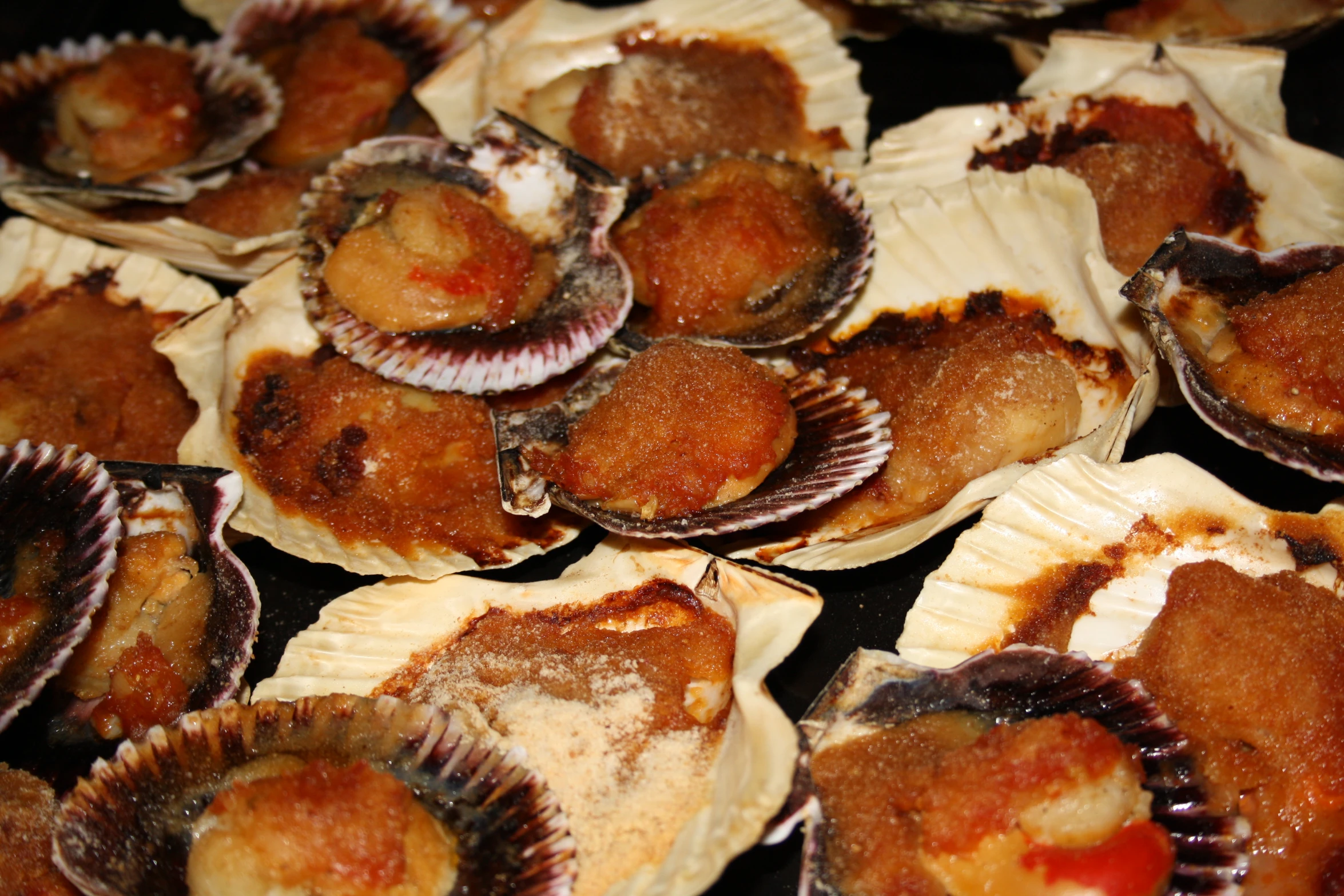 several open oysters sitting together in seashells