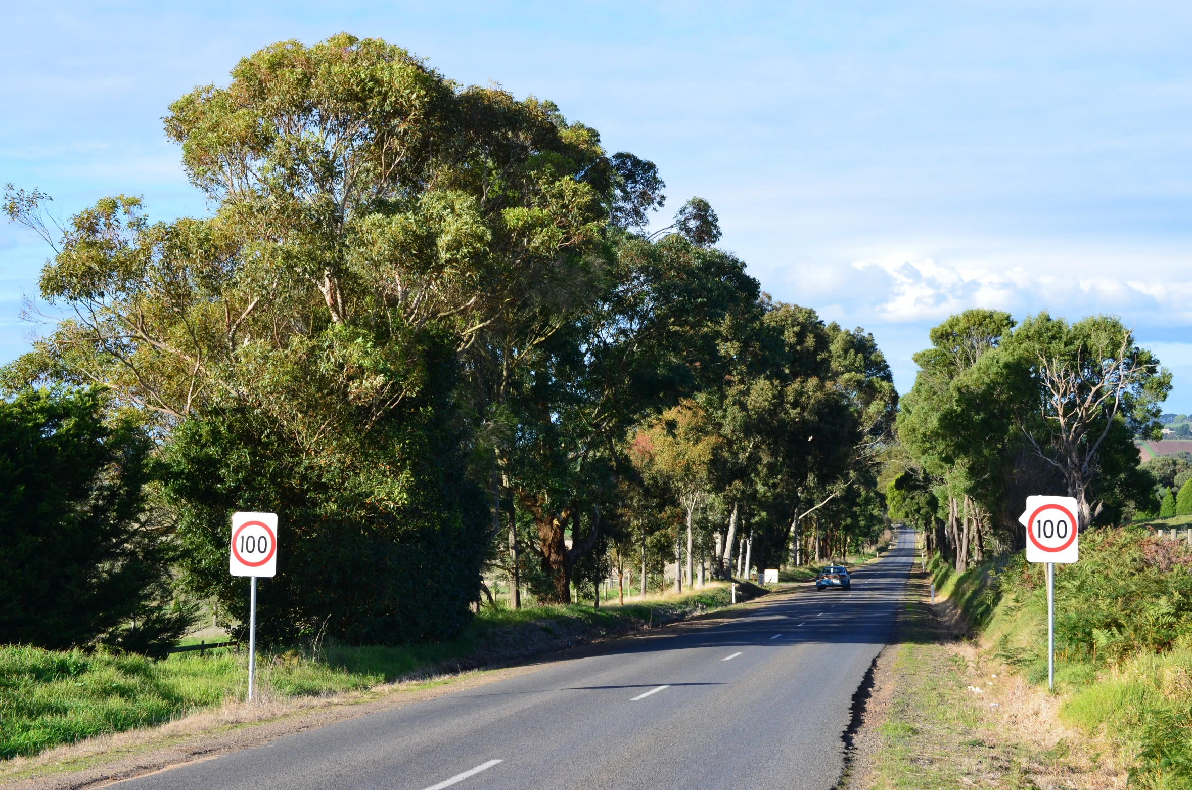 a road next to trees with two street signs attached