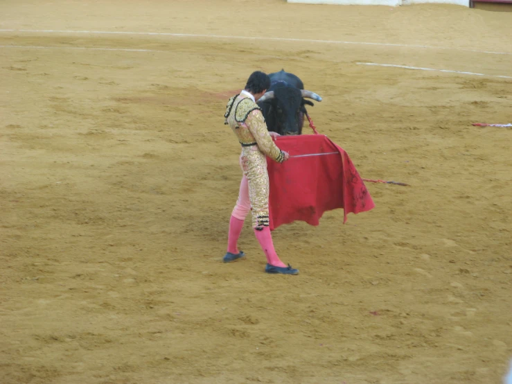 a mata, performing a maneuver with a cow at a bull ring