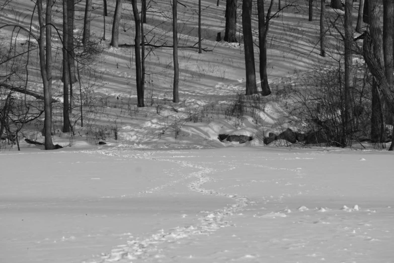 the snow has already cleared from this trail