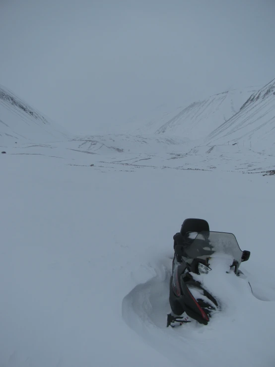 a black and grey dog laying in the snow