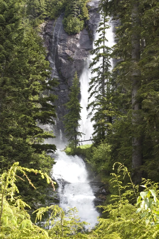 an area with lots of trees, water and a waterfall