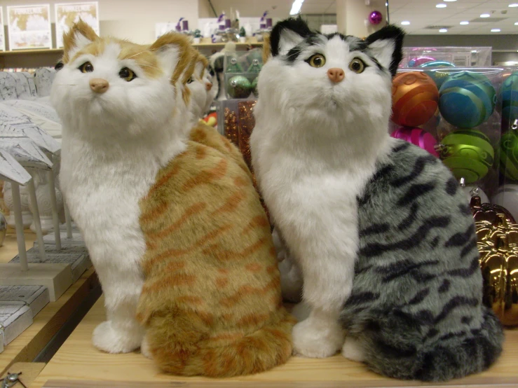 several stuffed cats are lined up and in a store