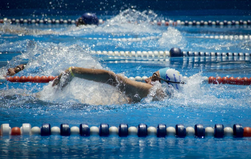 swimmers compete in the heat at the beginning of the swim