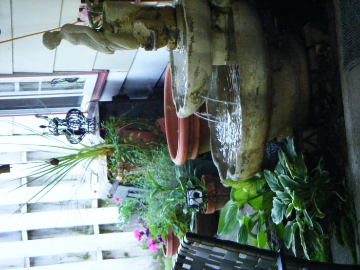 an arrangement of pots and plants hanging on the wall