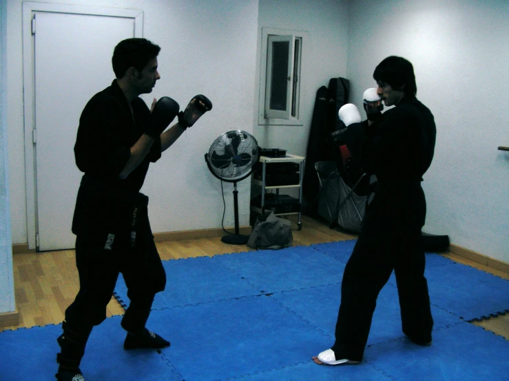 two people practicing martial moves in the room
