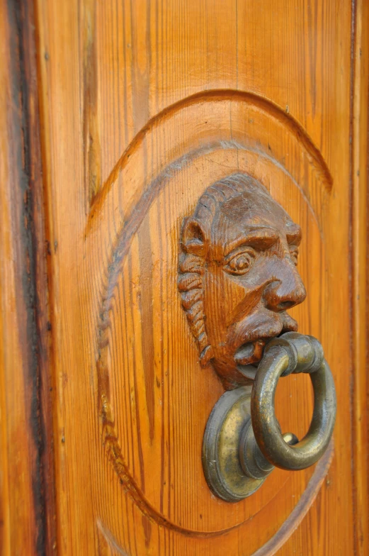 a metal knockner on a wooden door