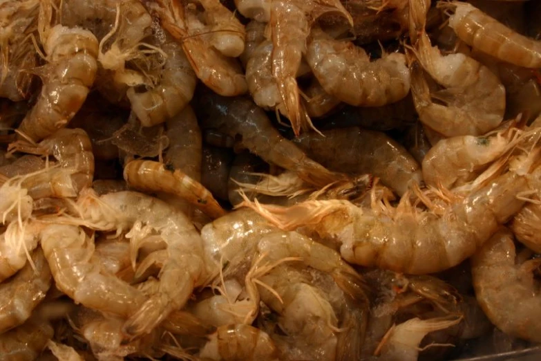 a group of shrimp that are on a pan