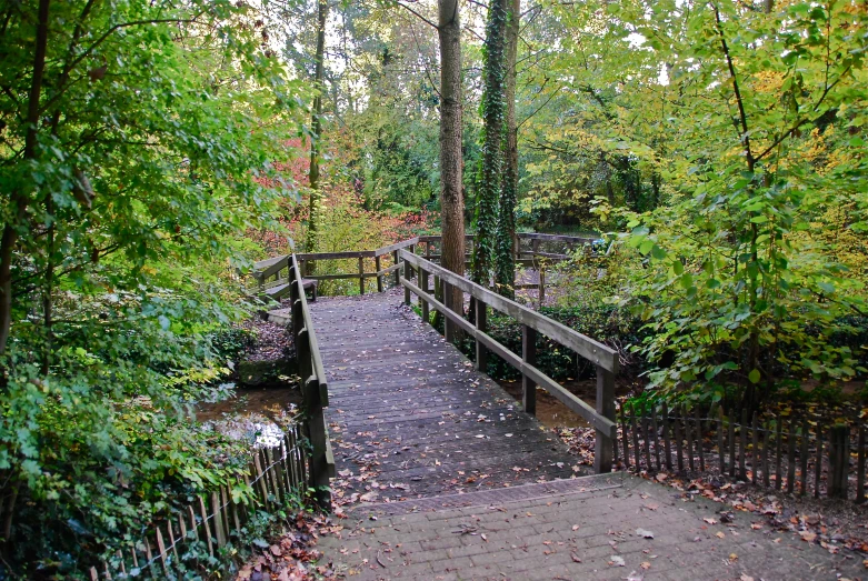 a small bridge surrounded by trees in the forest