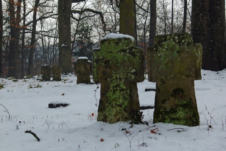 a group of green graves sitting on top of snow covered ground