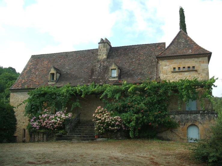 old stone house with vines on the roof