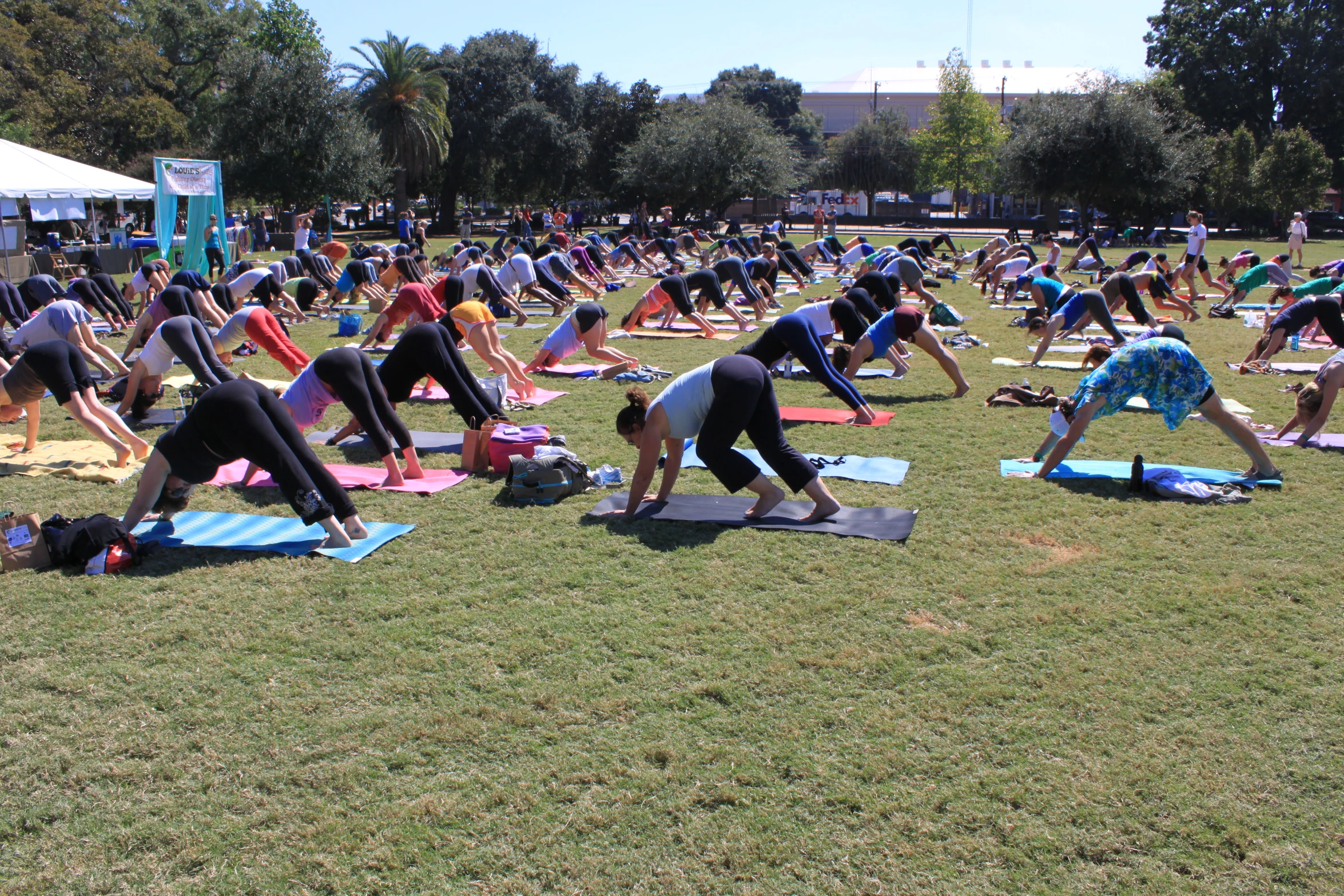 a group of people practicing yoga outdoors on blue and pink yoga mats