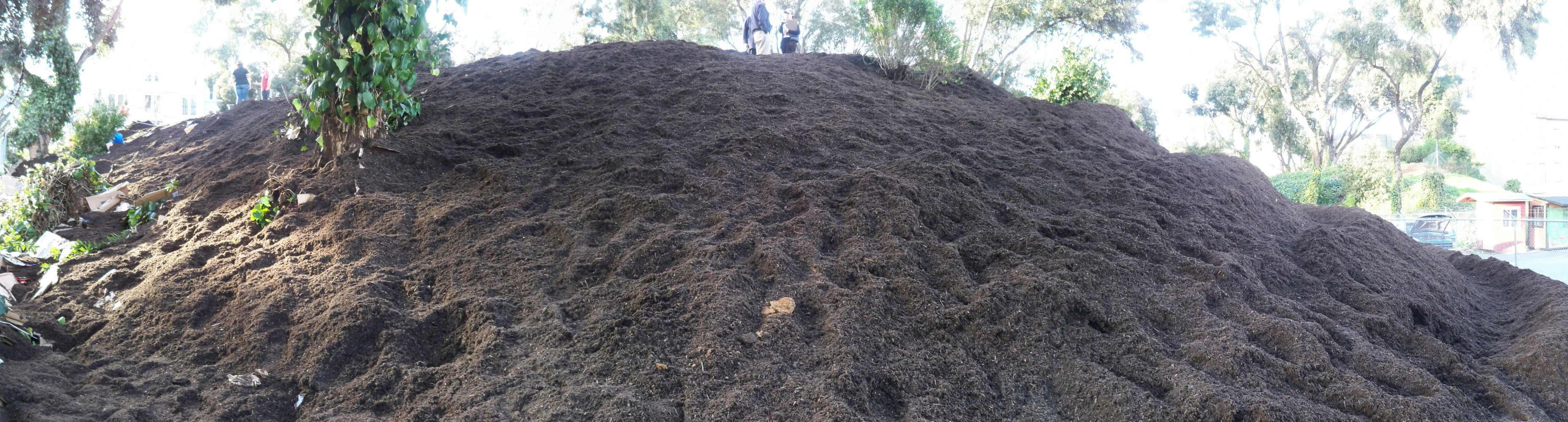 a dirt hill surrounded by trees on a clear day